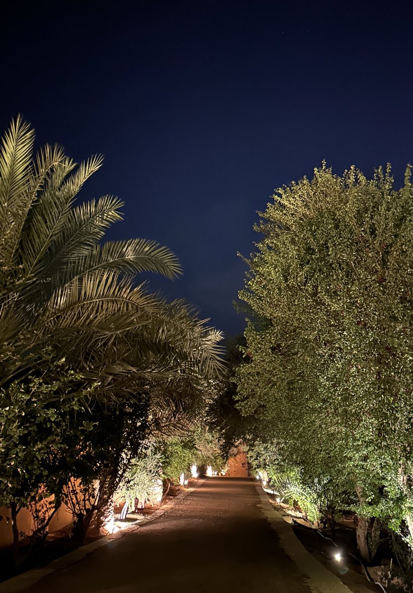 عـاليـة | Alyah tweet media