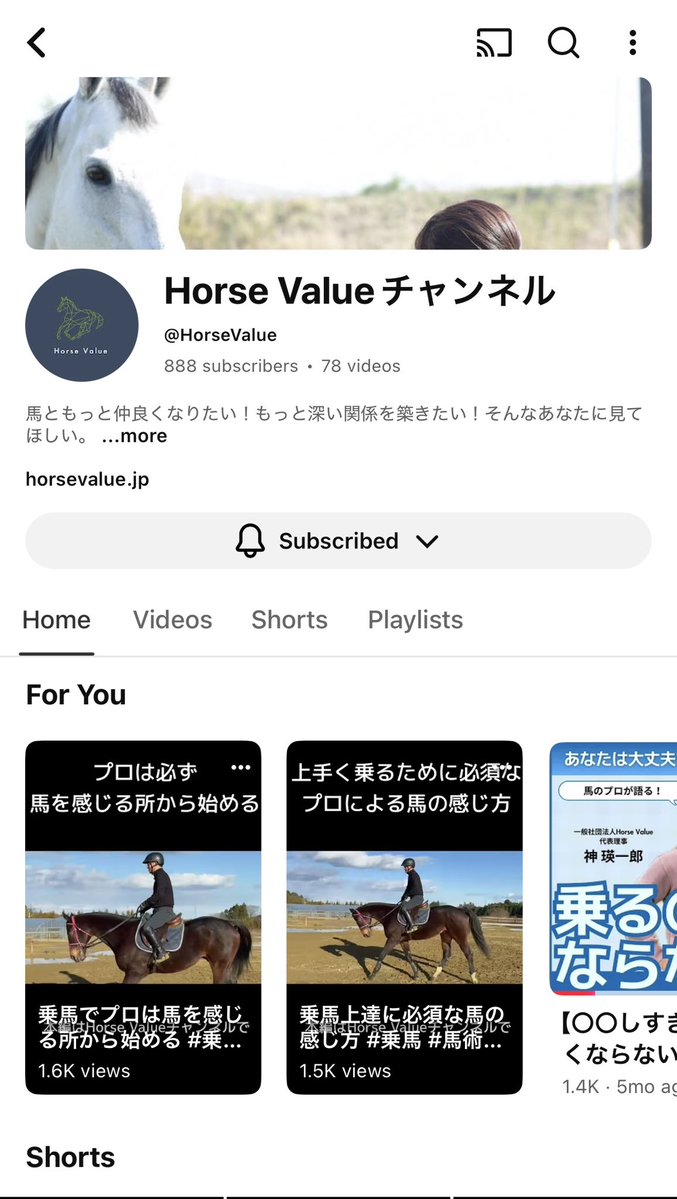 高田崚史（りょうじ）@HorseValue tweet media