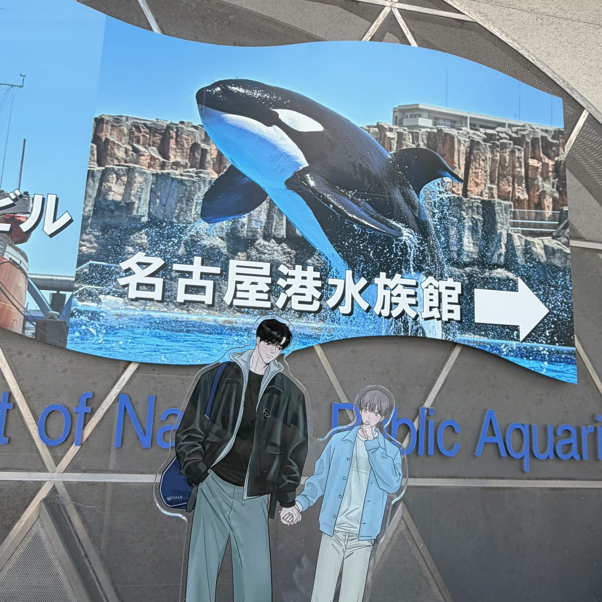 くり‎🧸 tweet media