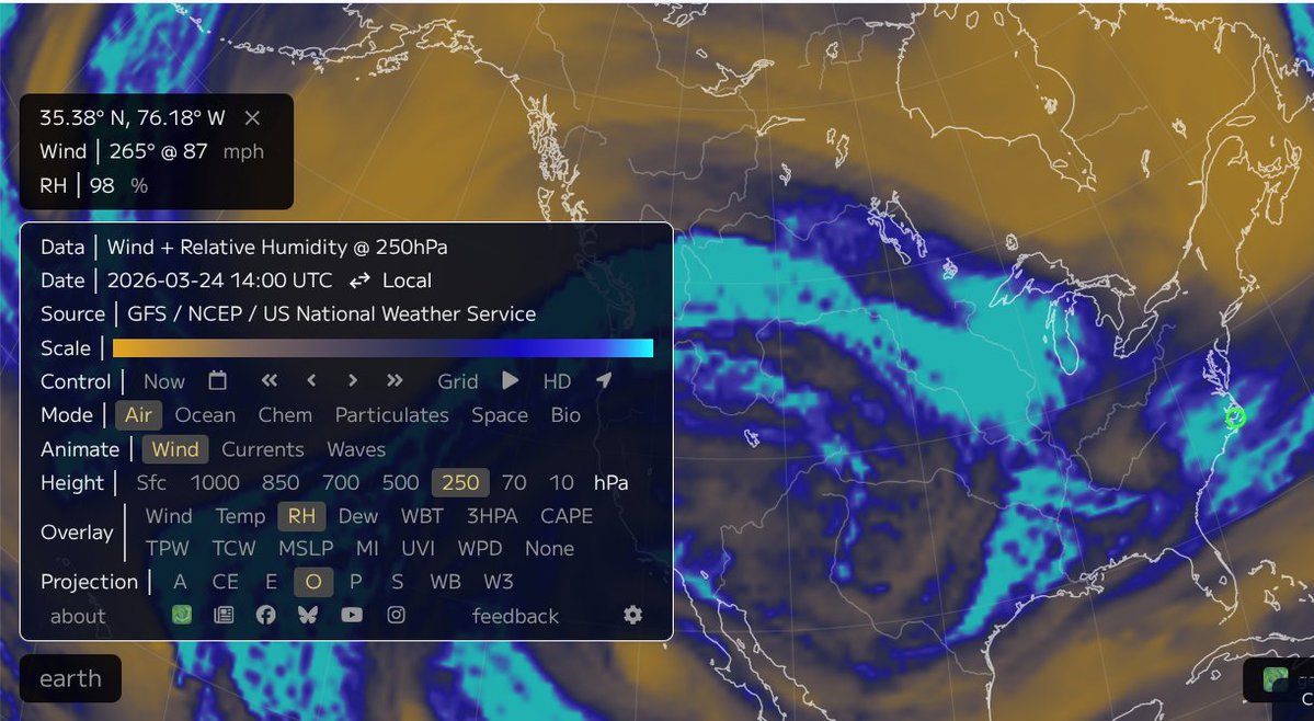 Matt Bornong tweet media