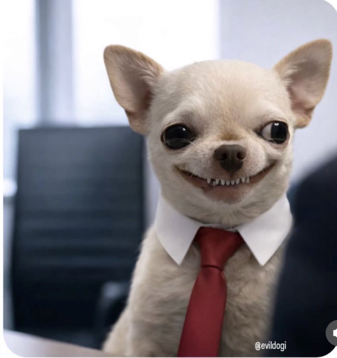 Exparto Forex tweet media