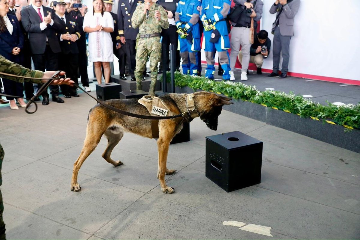 Simey Olvera tweet media