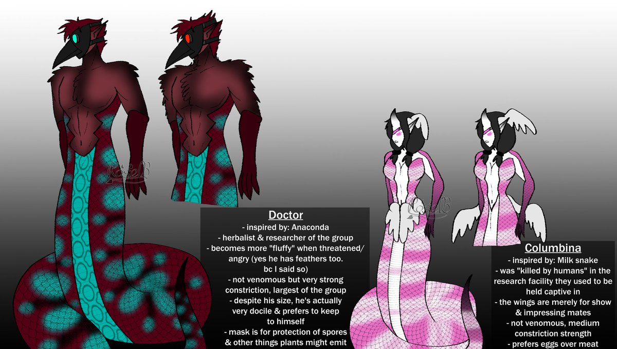 Rose | Viv 🔞 tweet media