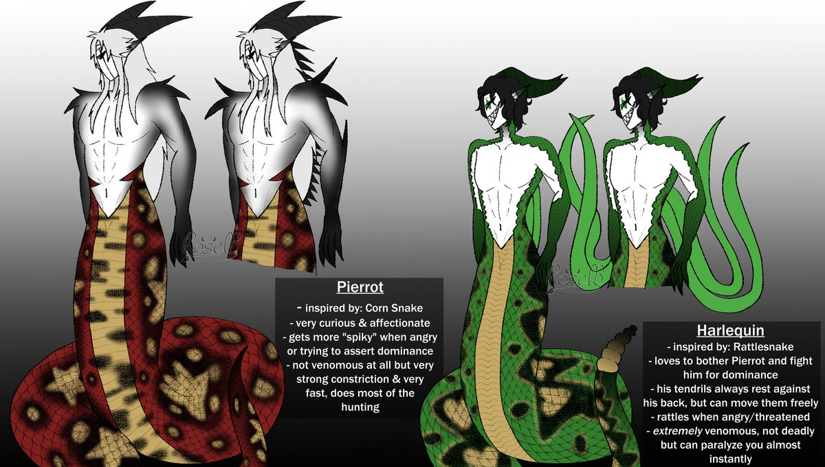 Rose | Viv 🔞 tweet media