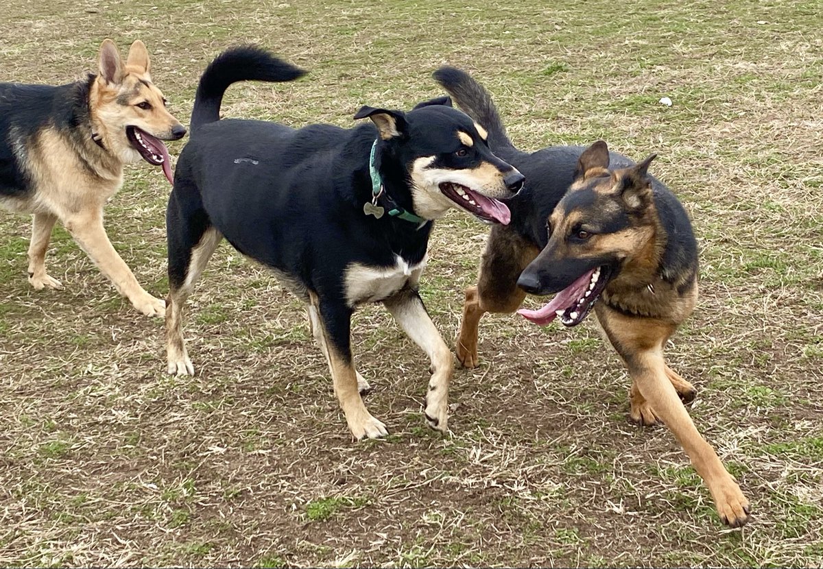 Only in Bucks County tweet media