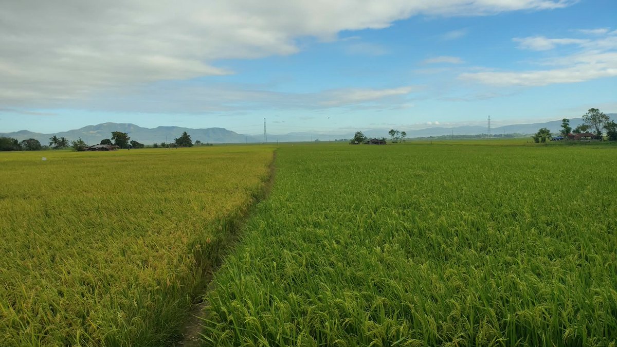 𝑳𝑬𝑶𝑵 𝑺. 𝑲𝑬𝑵𝑵𝑬𝑫𝒀 tweet media