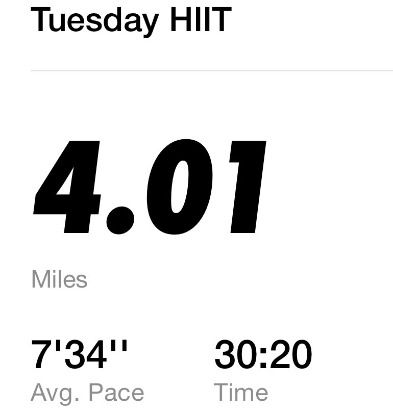 Dr. Pussy Galore Ed.D ✡️ tweet media