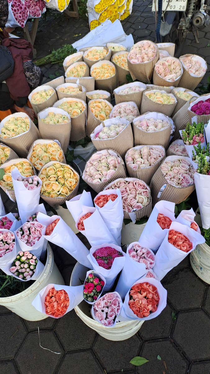 ndah 👩‍🌾🌹🌻 tweet media