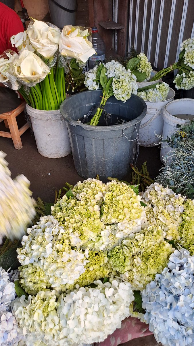 ndah 👩‍🌾🌹🌻 tweet media