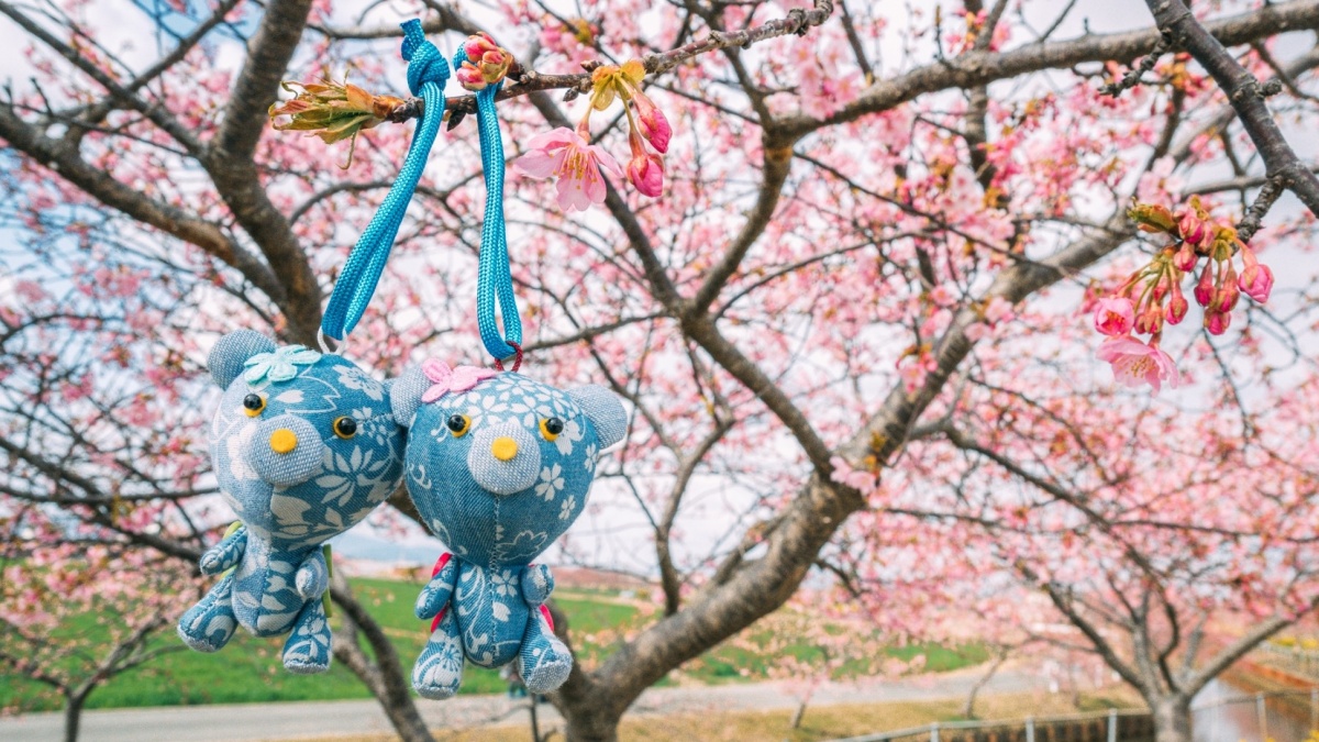 The Gov't of Japan tweet media