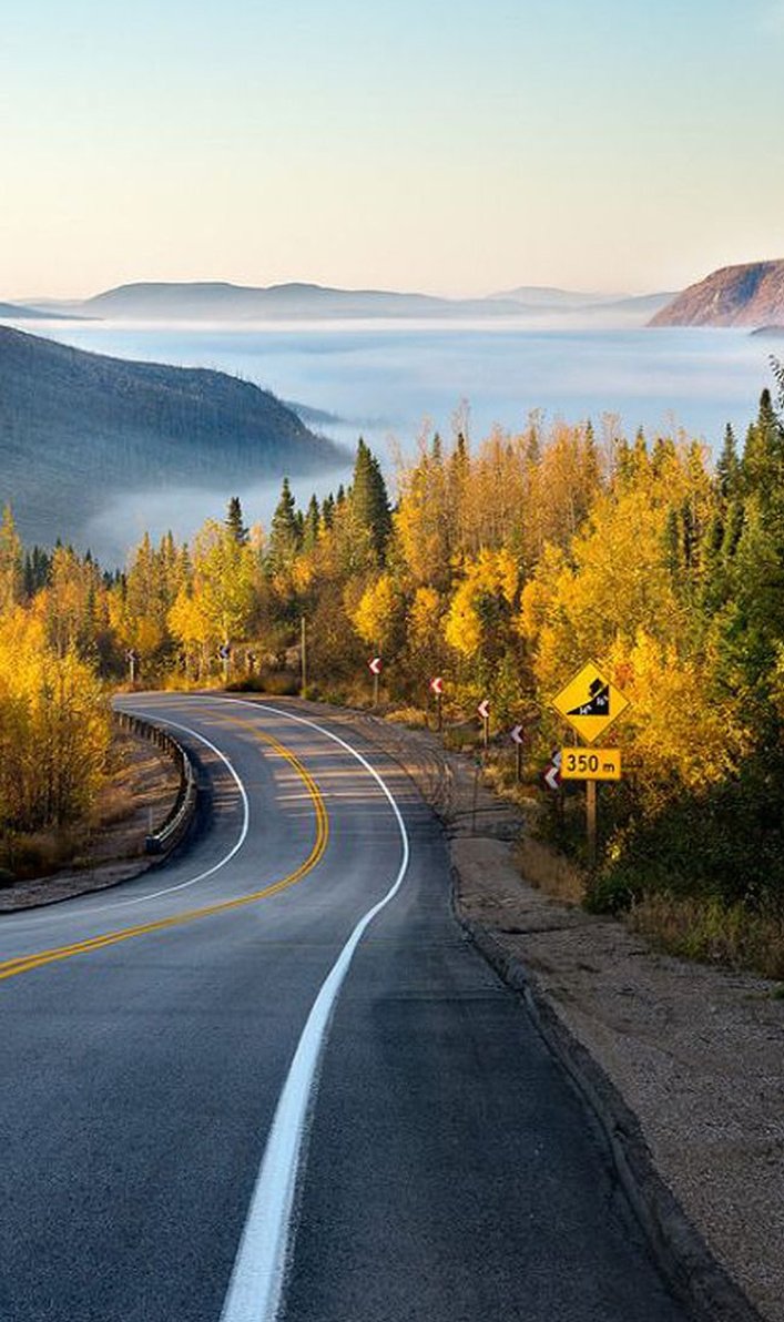 寿司を買う、温かい！ 🐷