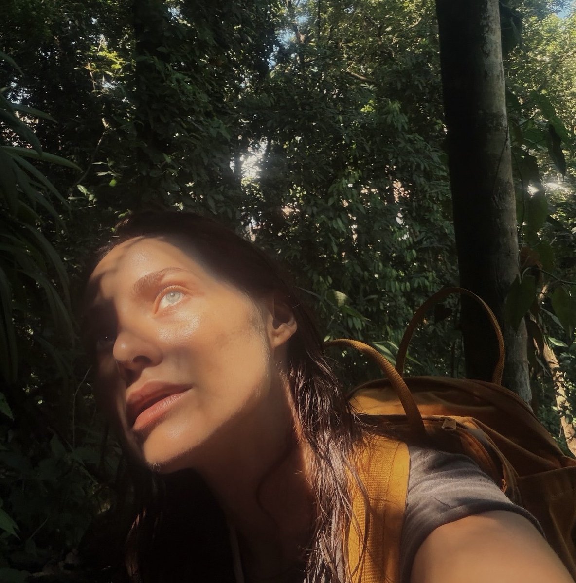 Letícia Colin tweet media