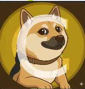 ProperDev tweet media