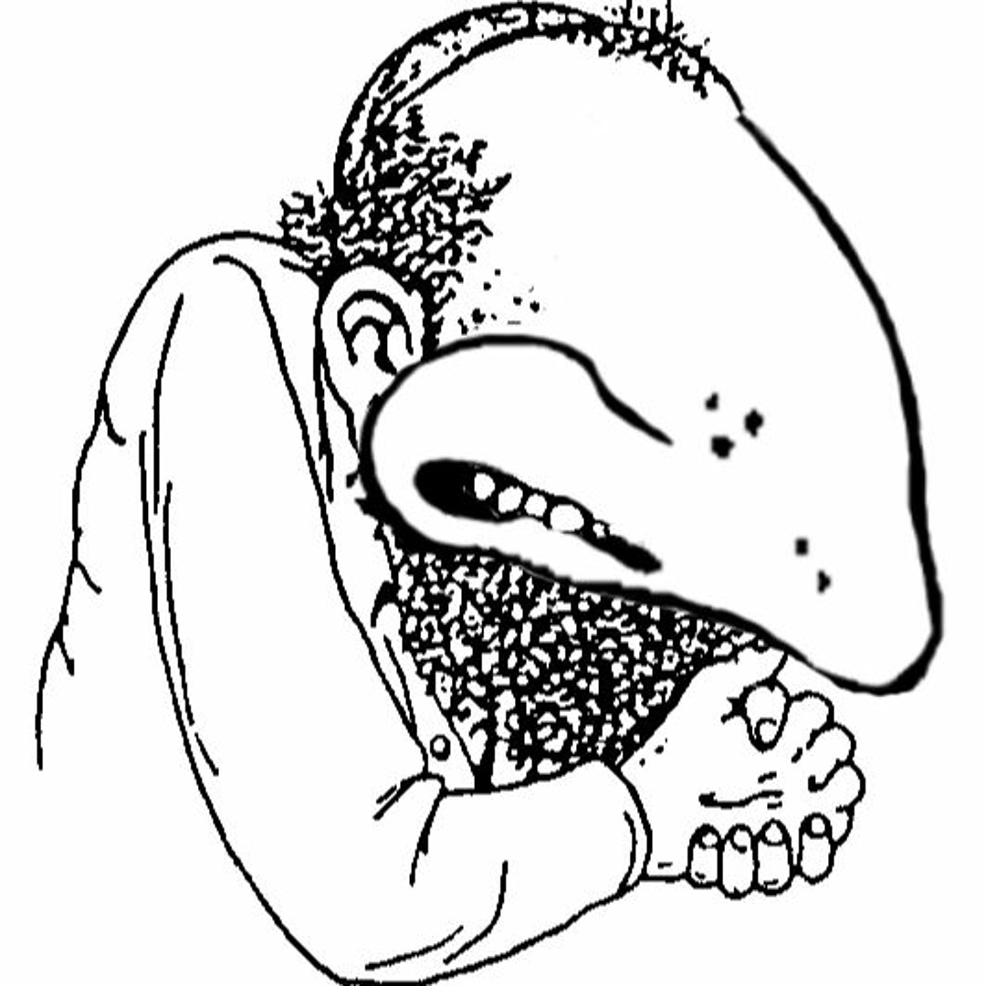 FirmIntroduction92 tweet media