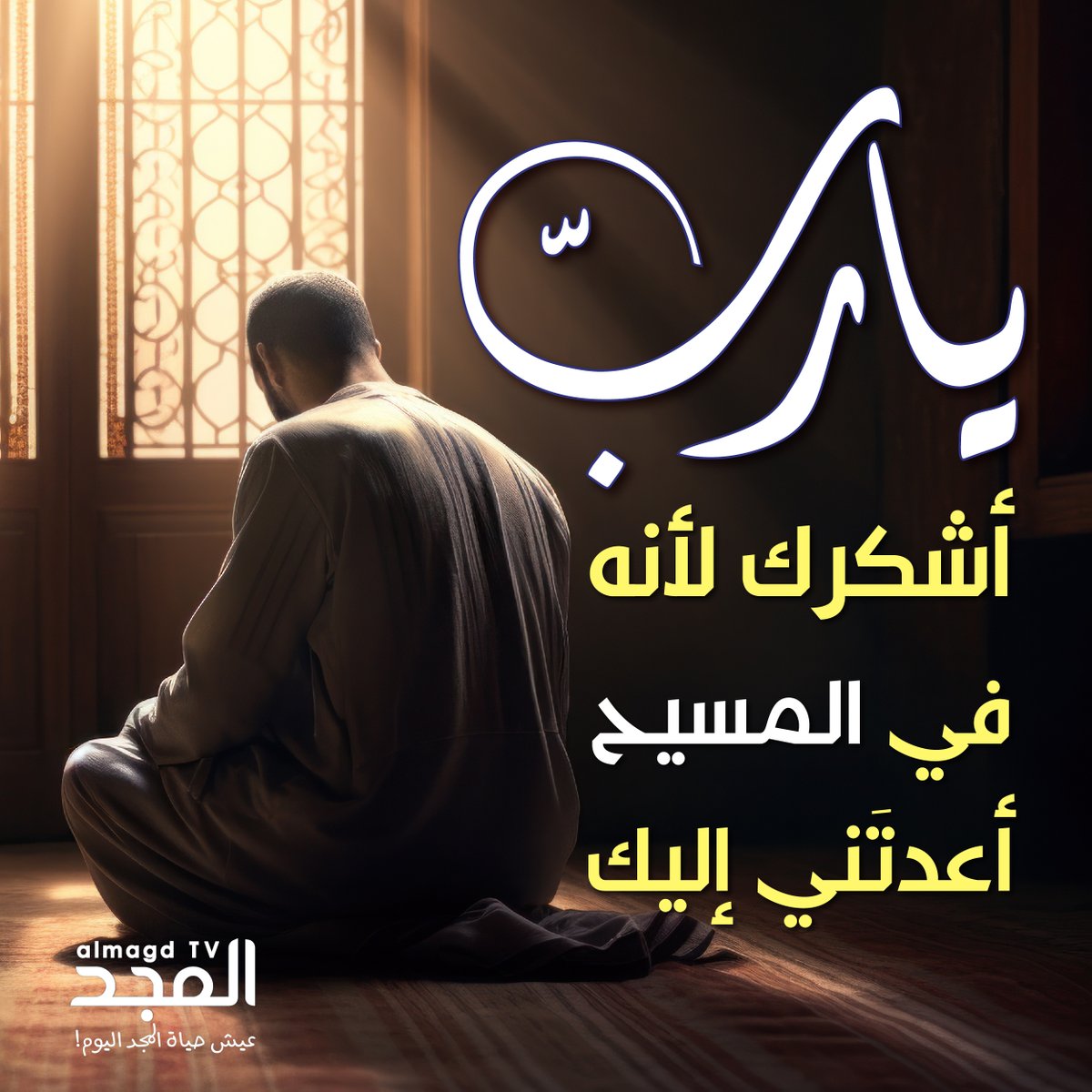 Almagd TV قناة المجد tweet media