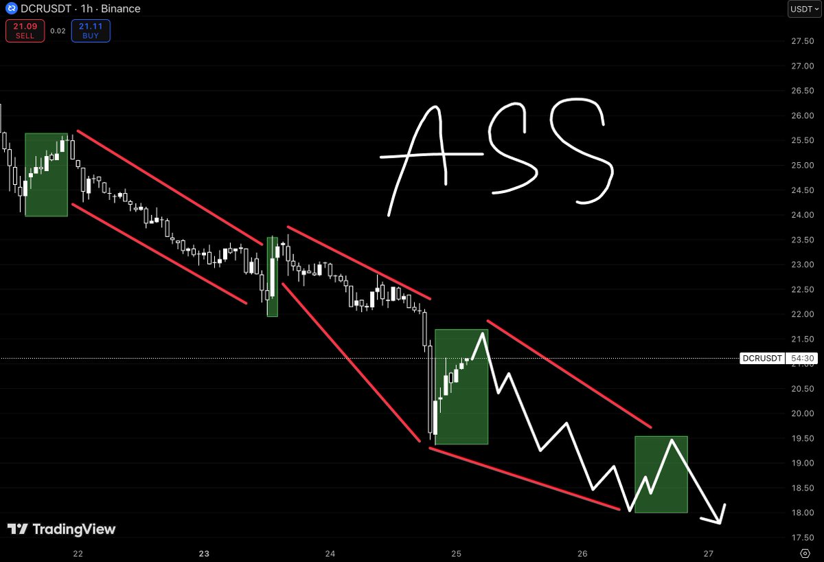 chief of overthinking tweet media