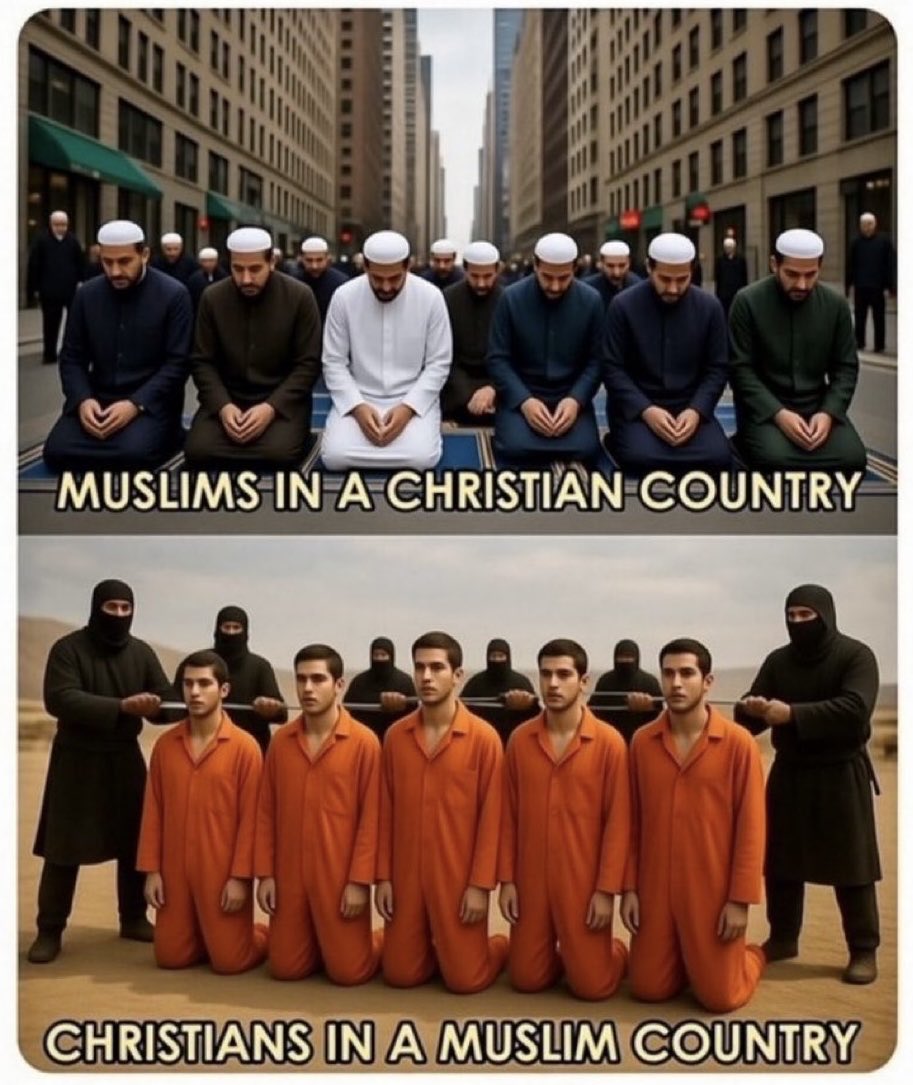 GnosisWolf tweet media