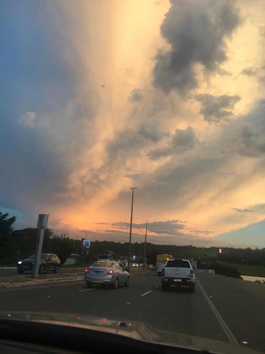 michael scott vascaíno tweet media