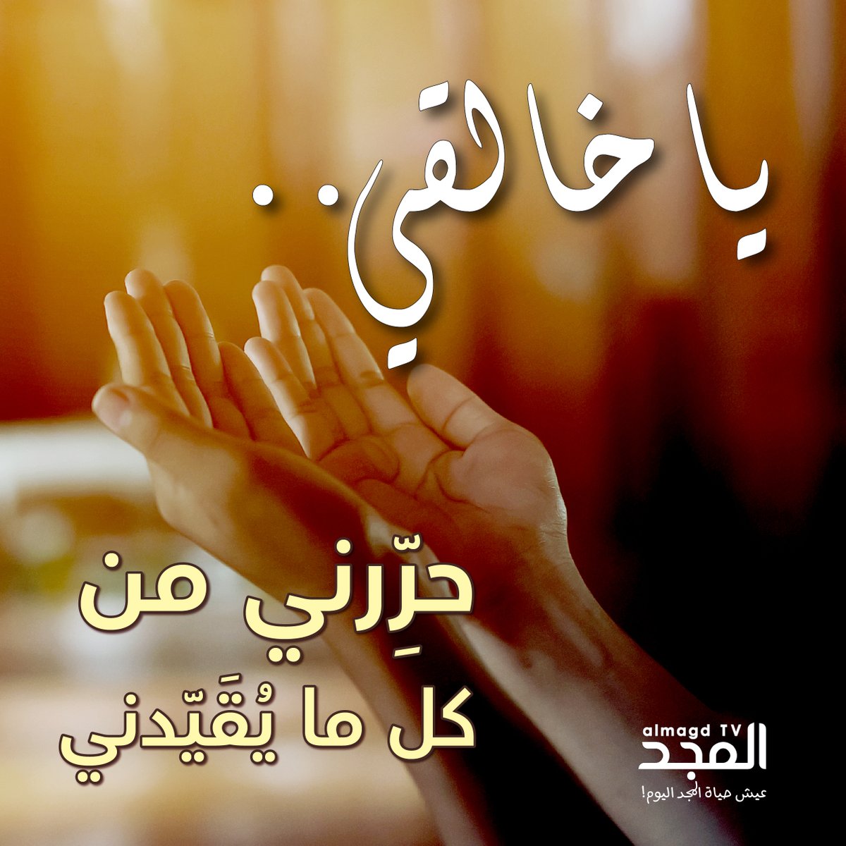 Almagd TV قناة المجد tweet media