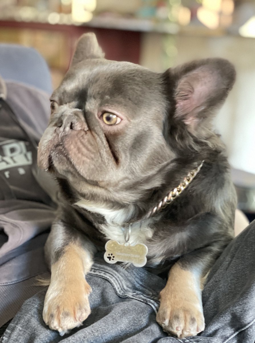 Mama van NoaTweet tweet media