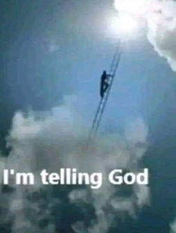 lilBunFilms tweet media