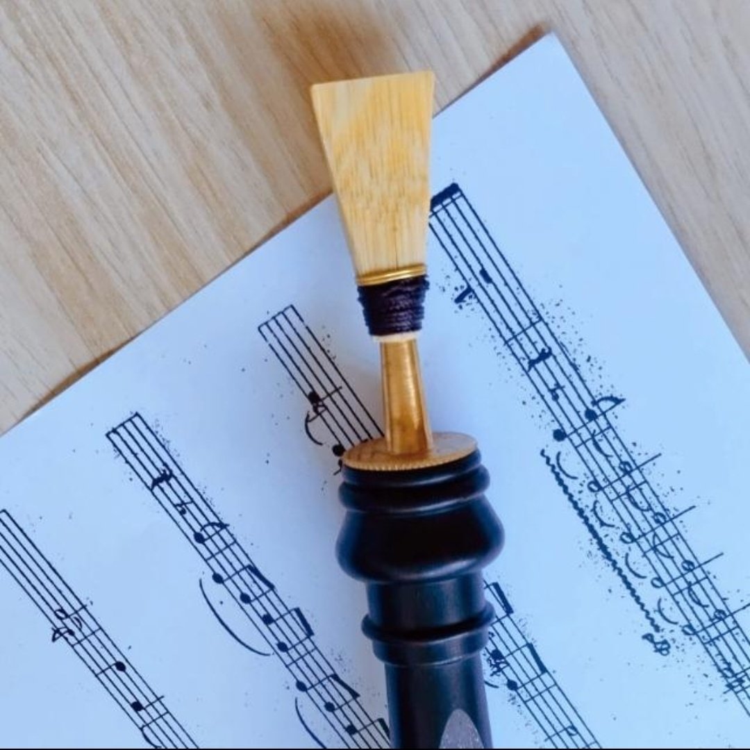 Xavi Barrachina 🦇 🥁🎺 tweet media