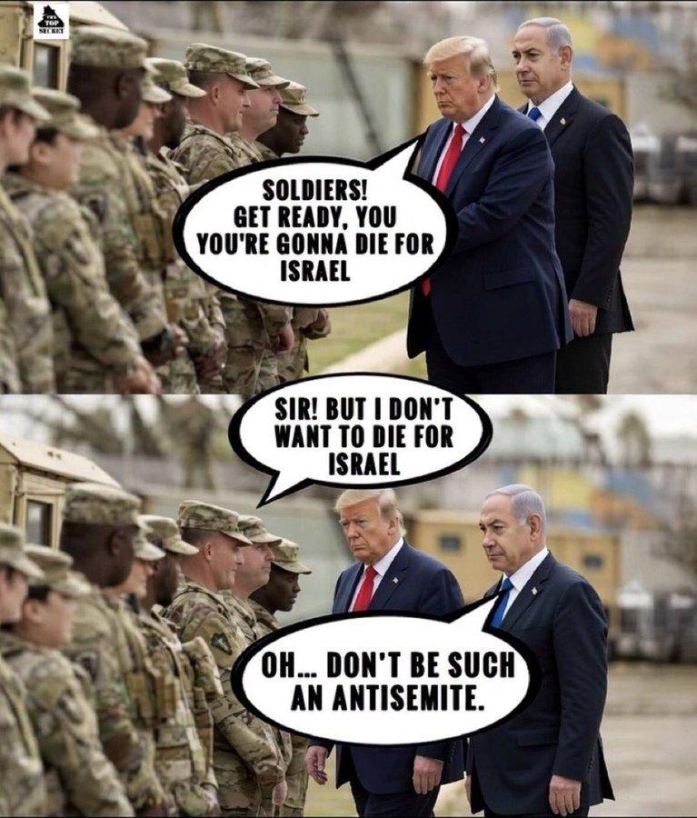 Canadian beaver tweet media