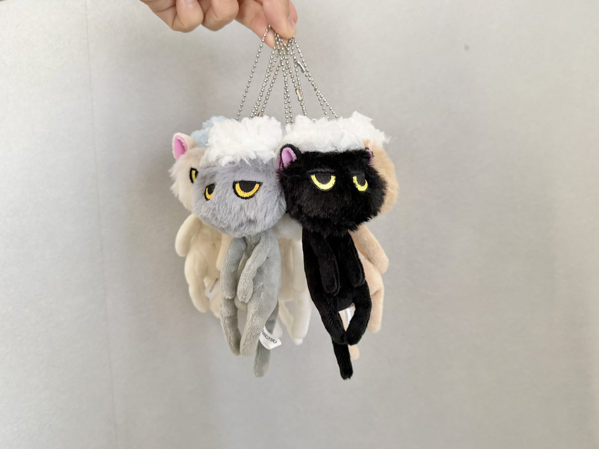 せこなお tweet media