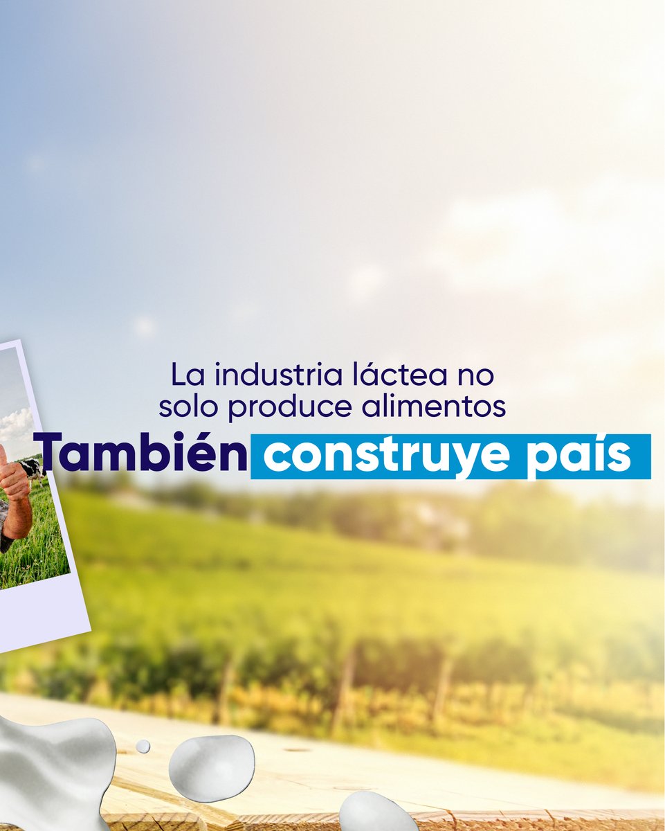 Asoleche tweet media