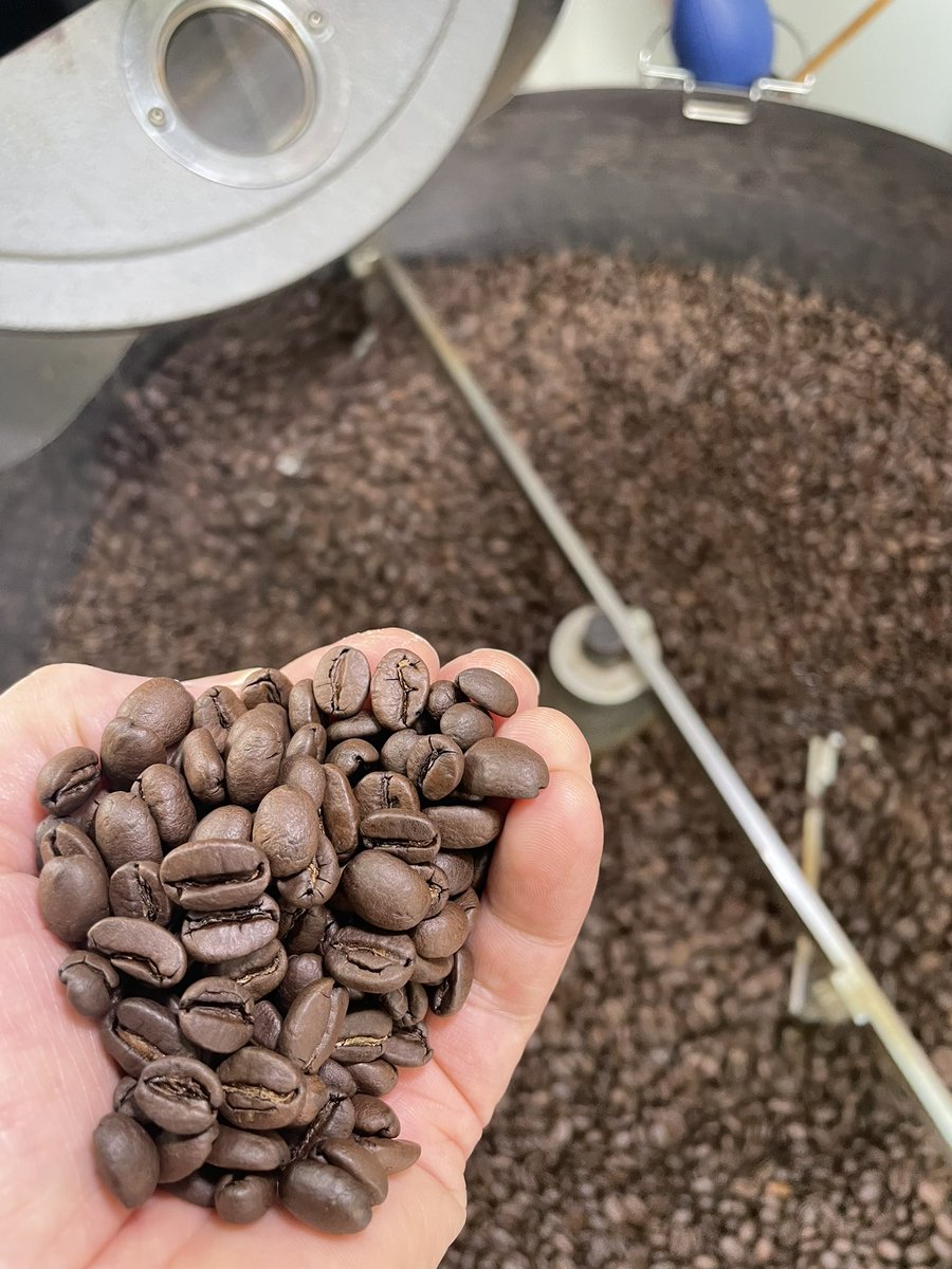 まるきますた☕️ tweet media