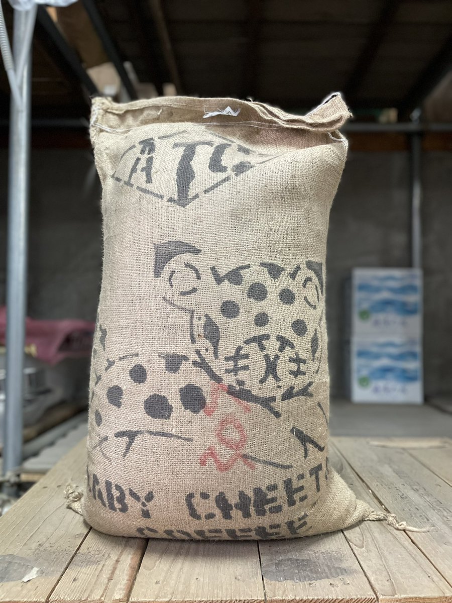 まるきますた☕️ tweet media