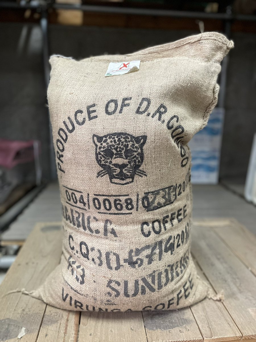 まるきますた☕️ tweet media