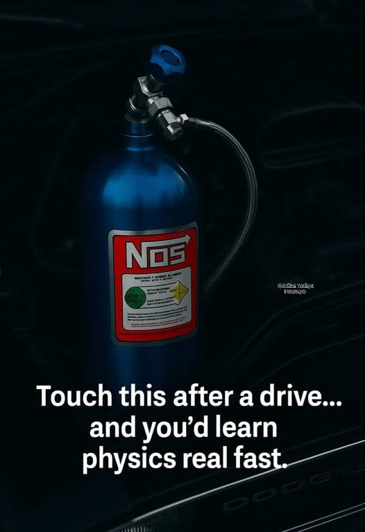 Connie 🇺🇸 tweet media