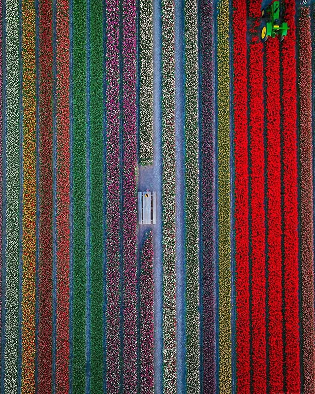 etginlik tweet media