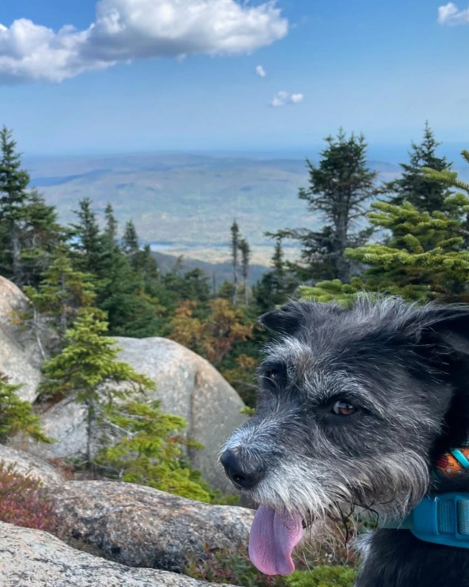 Visit Adirondacks tweet media