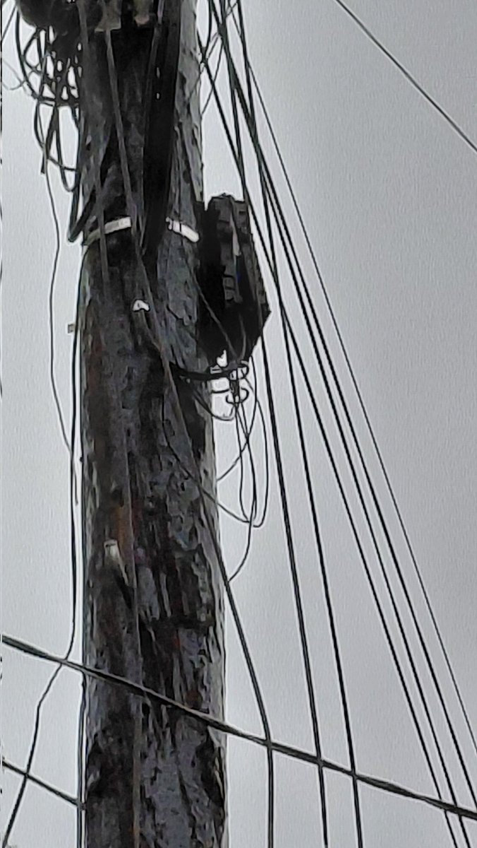 novatogears's tweet photo. @TELMEXSoluciona @ElLatasMalvado @TotalplayAyuda @totalplaymx Telmex sus grandes instaladores de líneas nuevas dejaron la caja abierta y son nuevas y por estos rumbos esta lloviendo lo que provoca inestabilidad en el servicio la calle es la 18 de marzo 606 https://t.co/Cnz04kYhOy