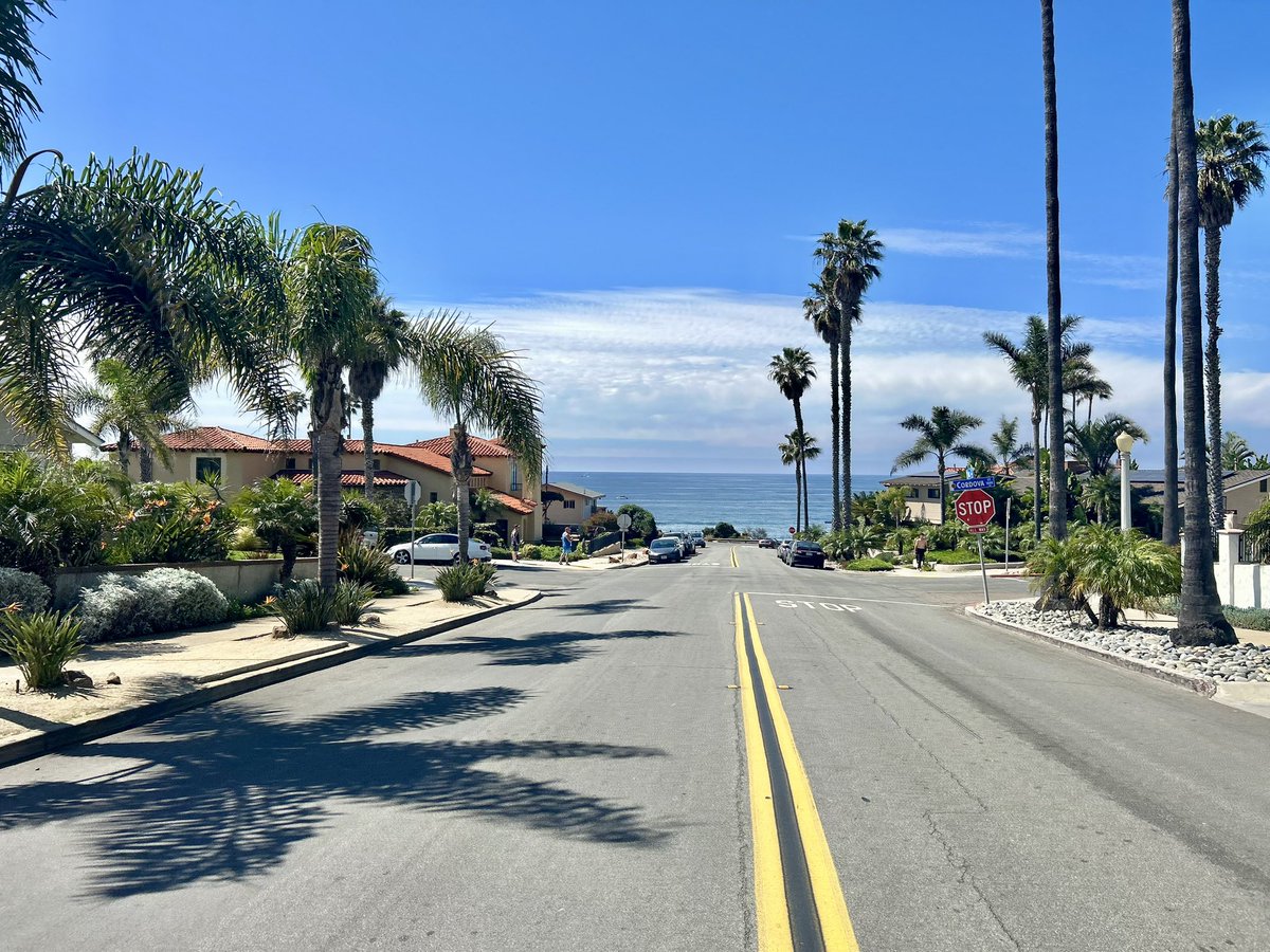 𝐬𝐨𝐯 tweet media