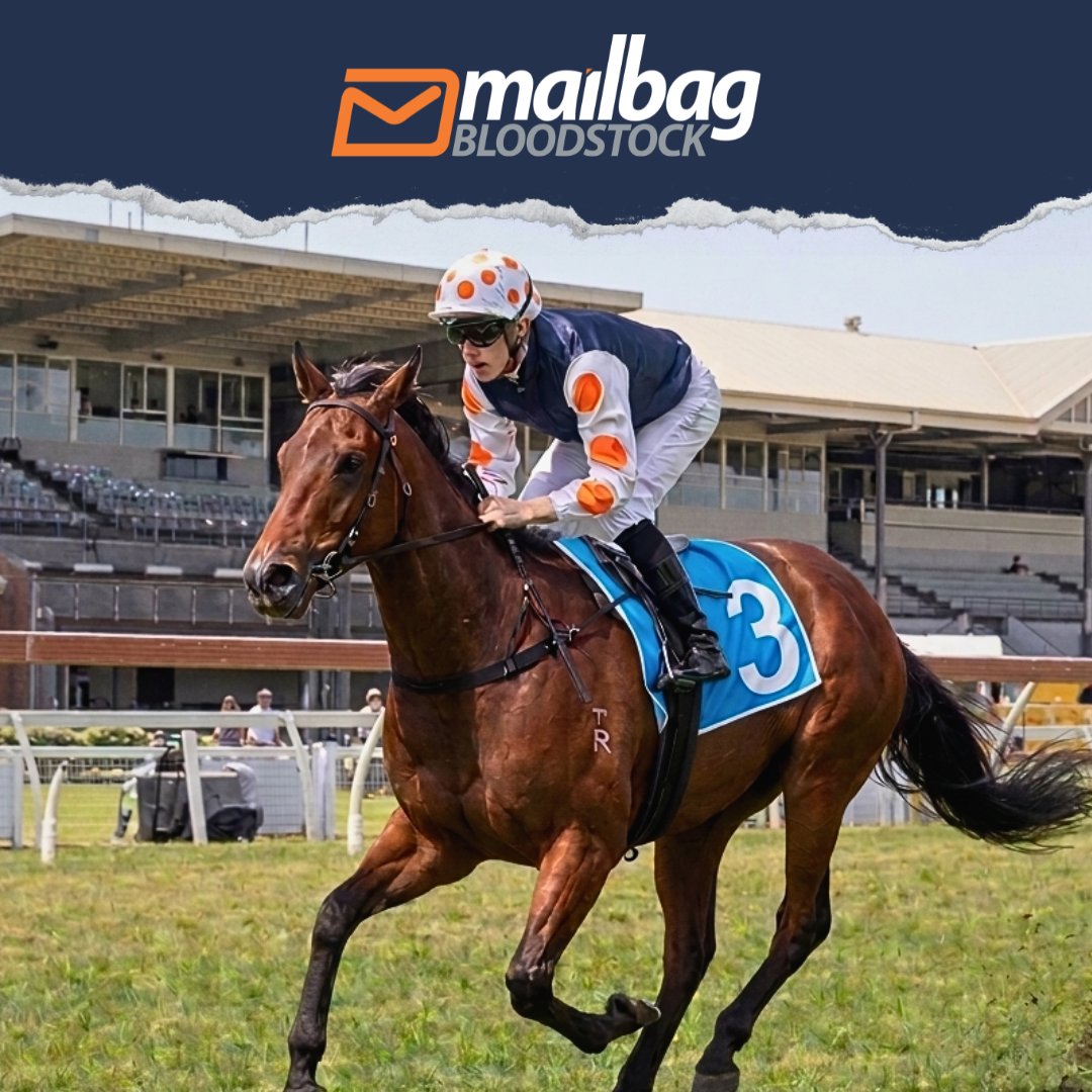 Mailbag Bloodstock tweet media