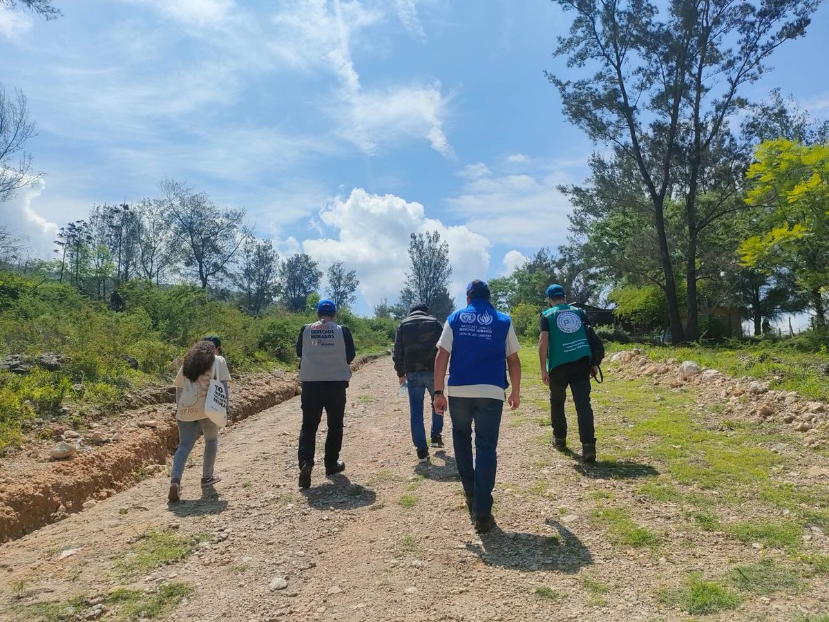 Peace Brigades International-México tweet media