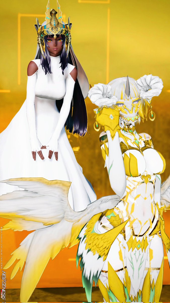 テトラパトラ tweet media