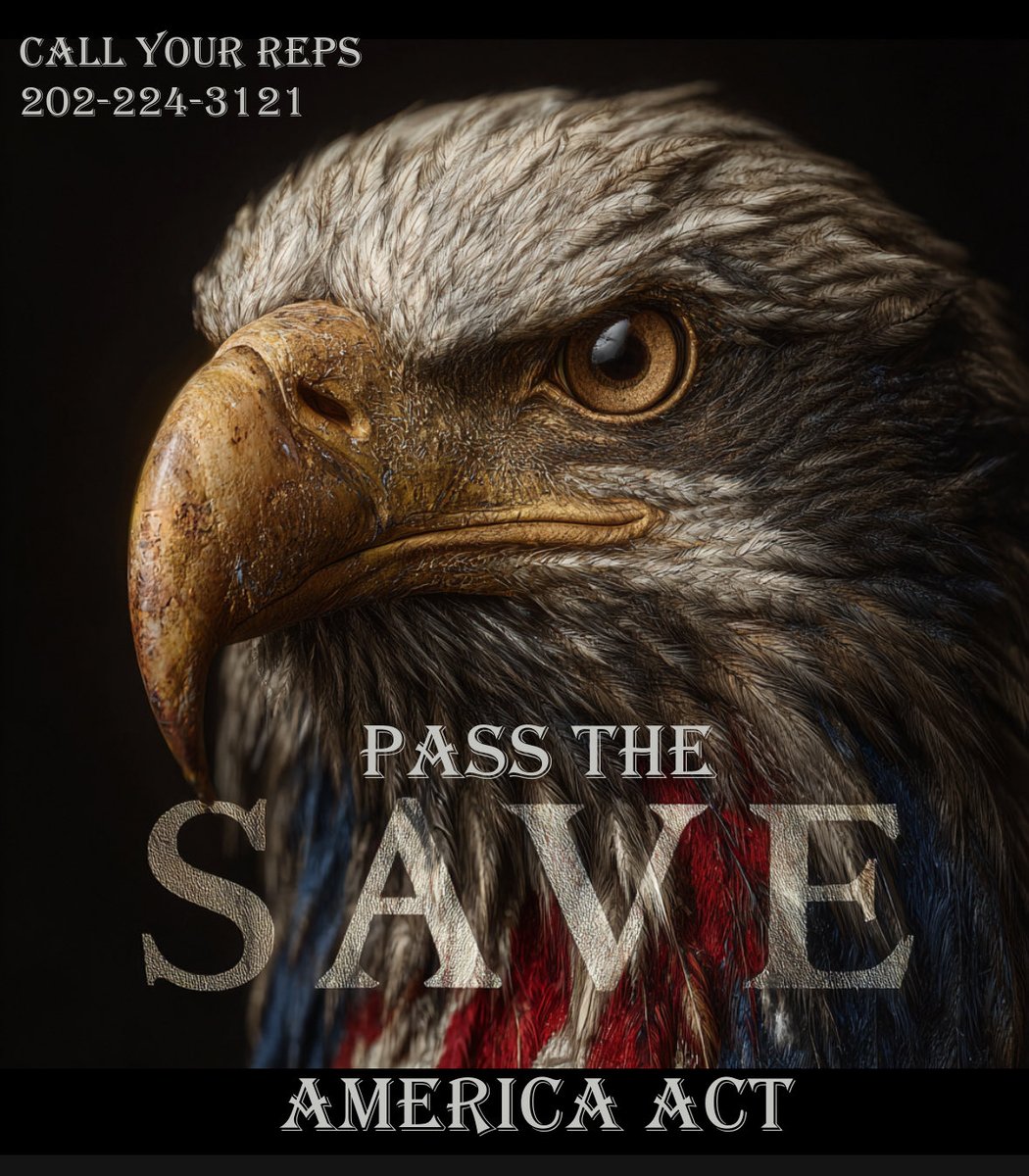 Truth in Action tweet media