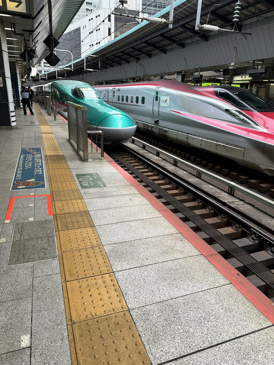 ありんこ tweet media