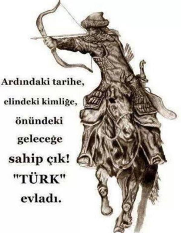 TANERUNAL tweet media