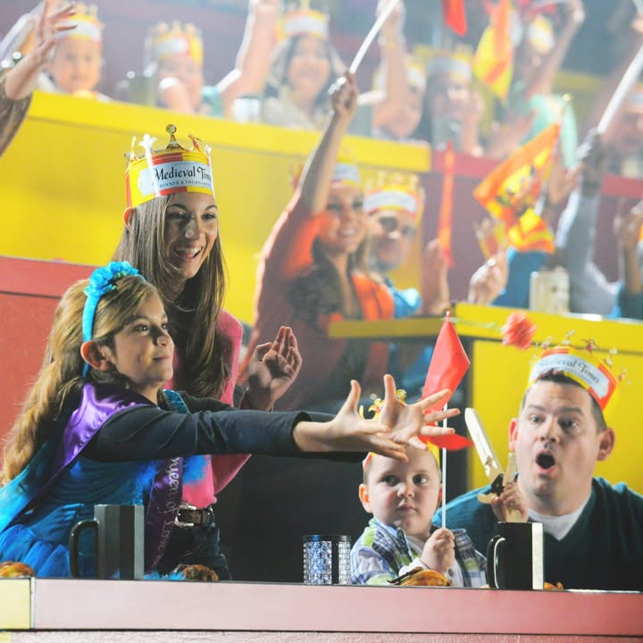 Medieval Times tweet media