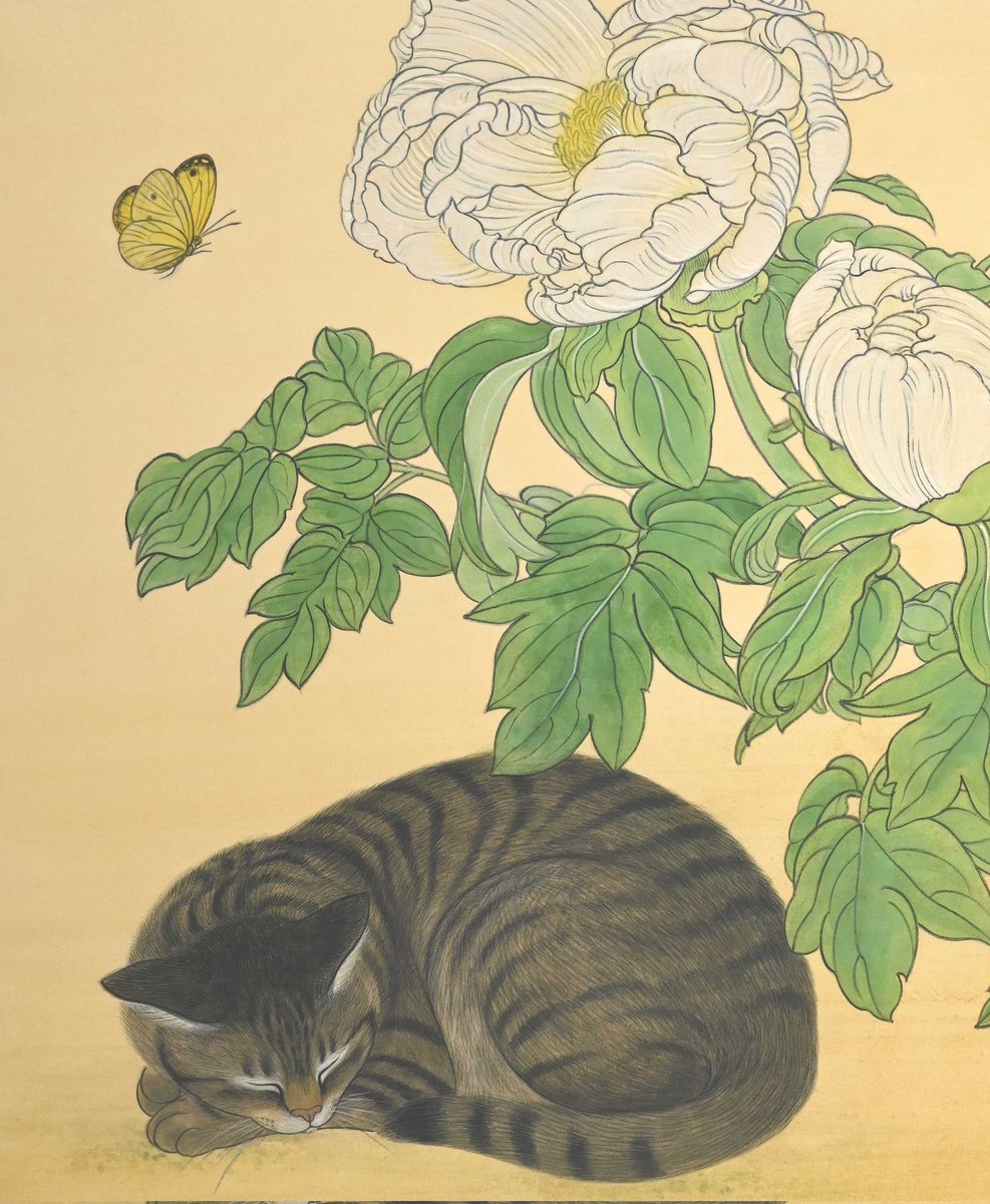 待ち合わせは花の下で

去年咲かなかった庭の白牡丹、今年は3つも蕾がつきました。すごく嬉しい