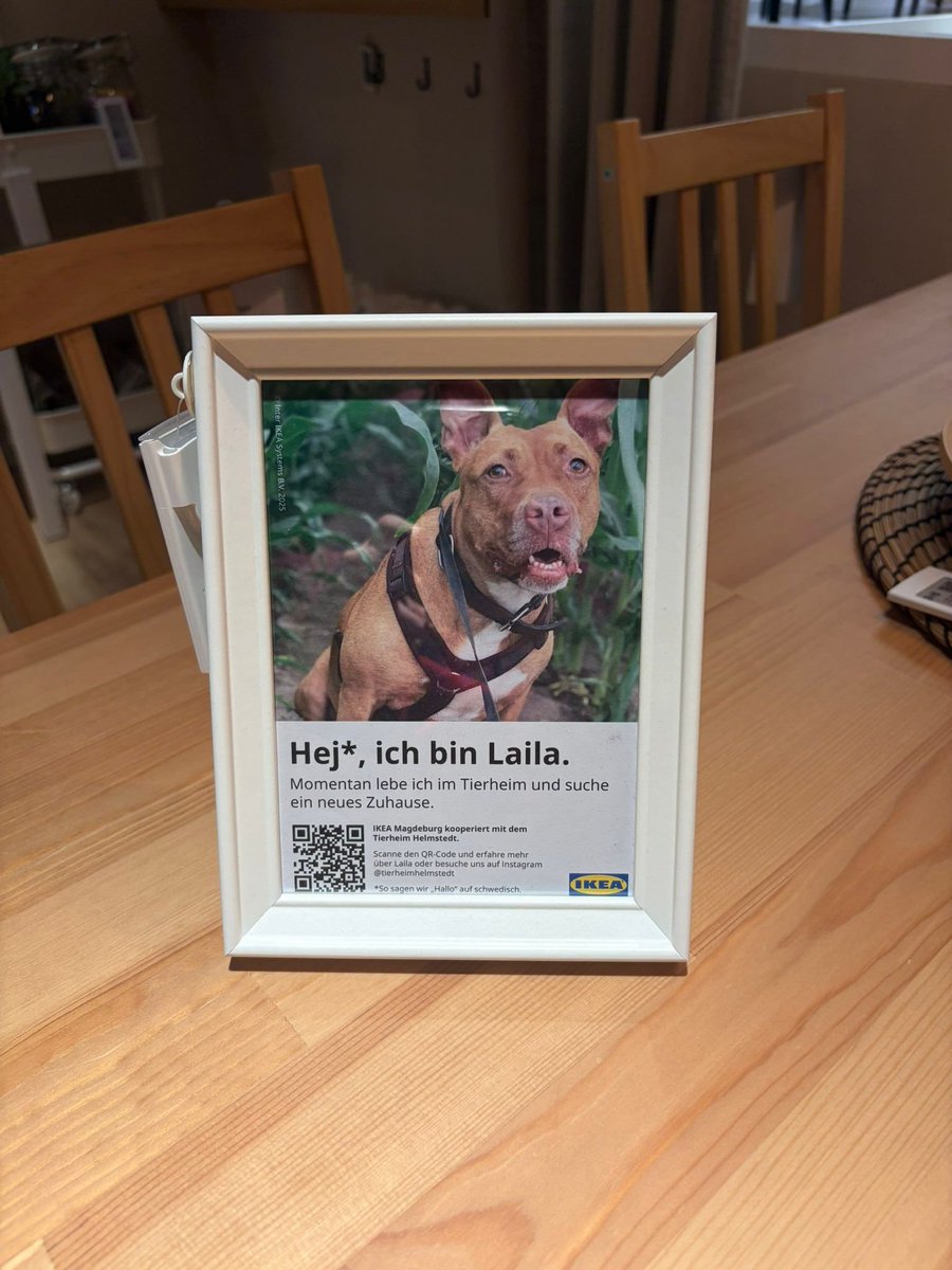 etginlik tweet media