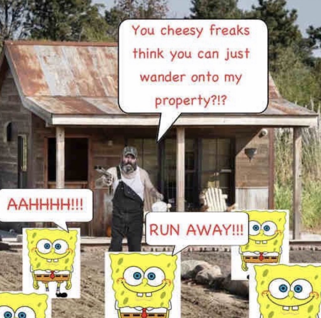 HENRY 🪲 tweet media