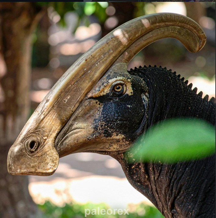 Mr. Miguelituz tweet media