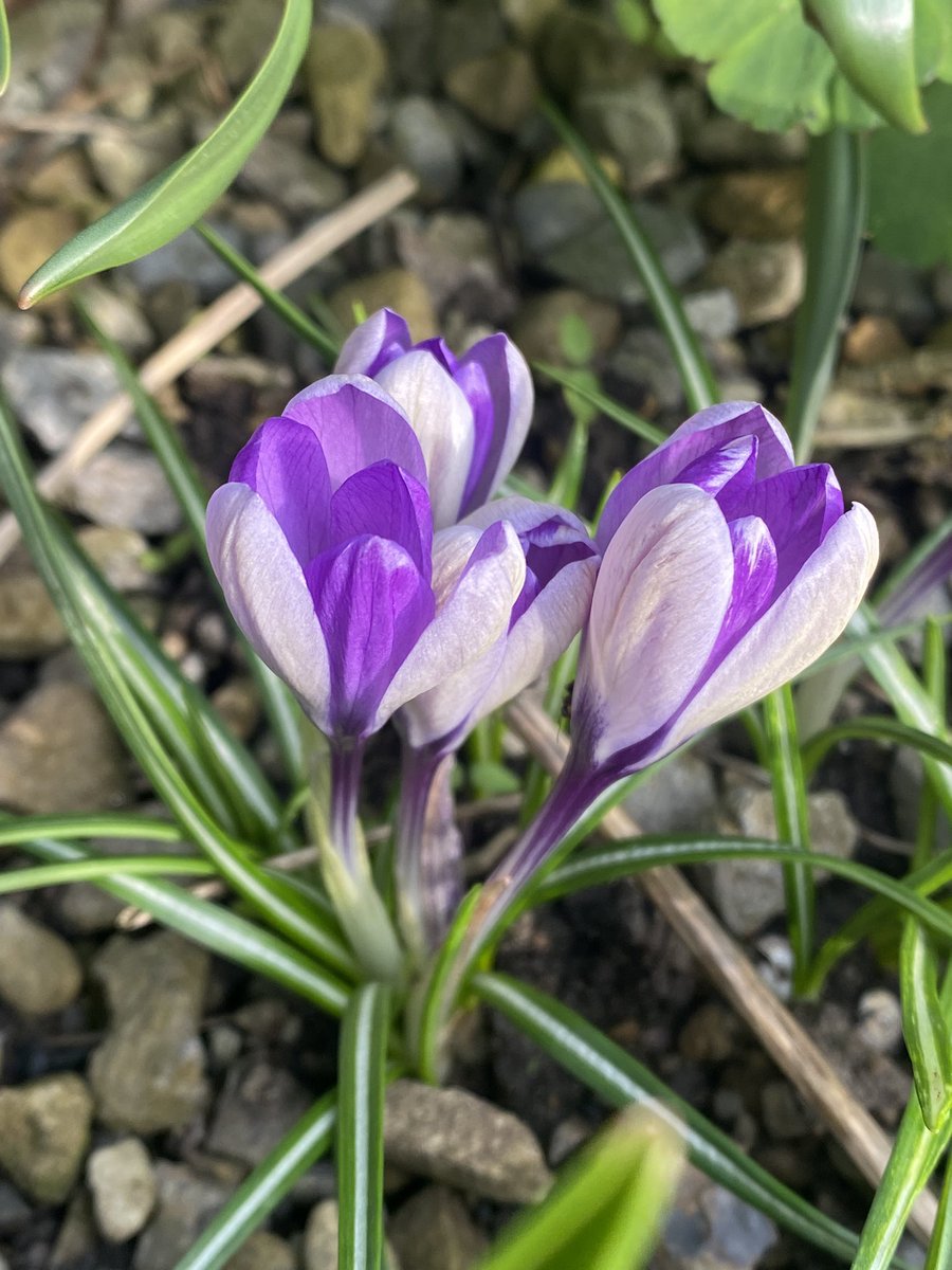 Michael Myers tweet media