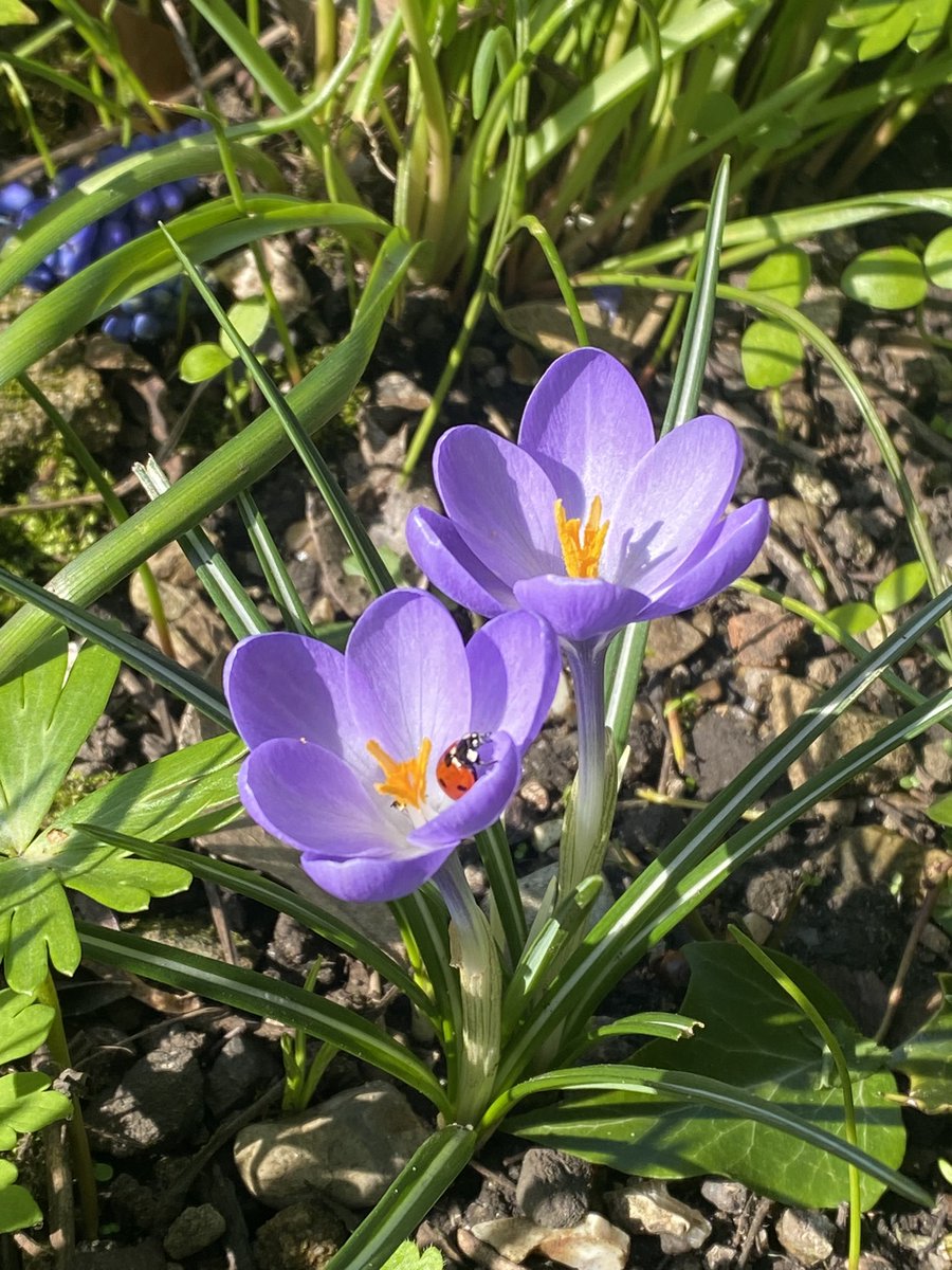 Michael Myers tweet media